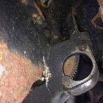 Cforcar Facel Vega Restoration 1 195